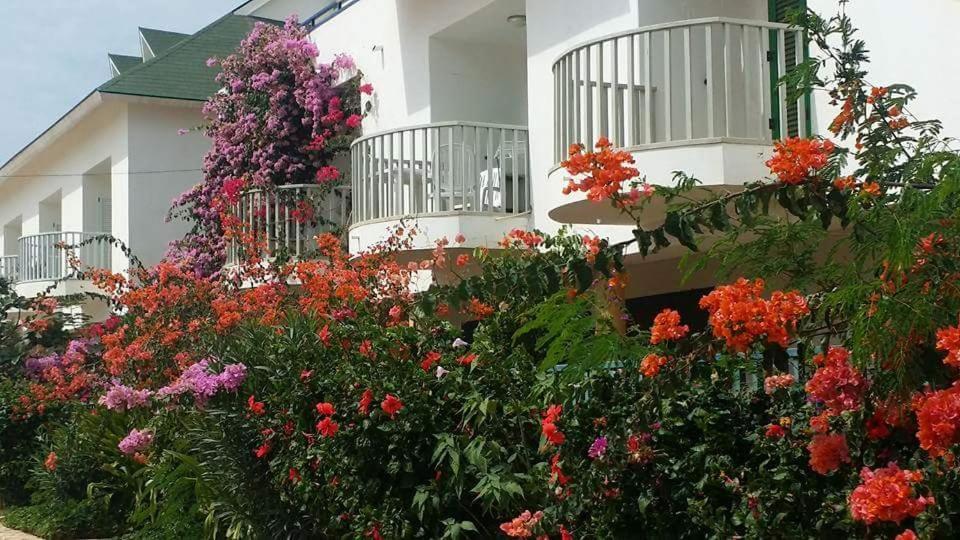 Apartmán Leme Bedje Cl Santa Maria Exteriér fotografie
